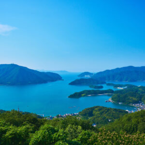 MAIZURU Archive 編集部